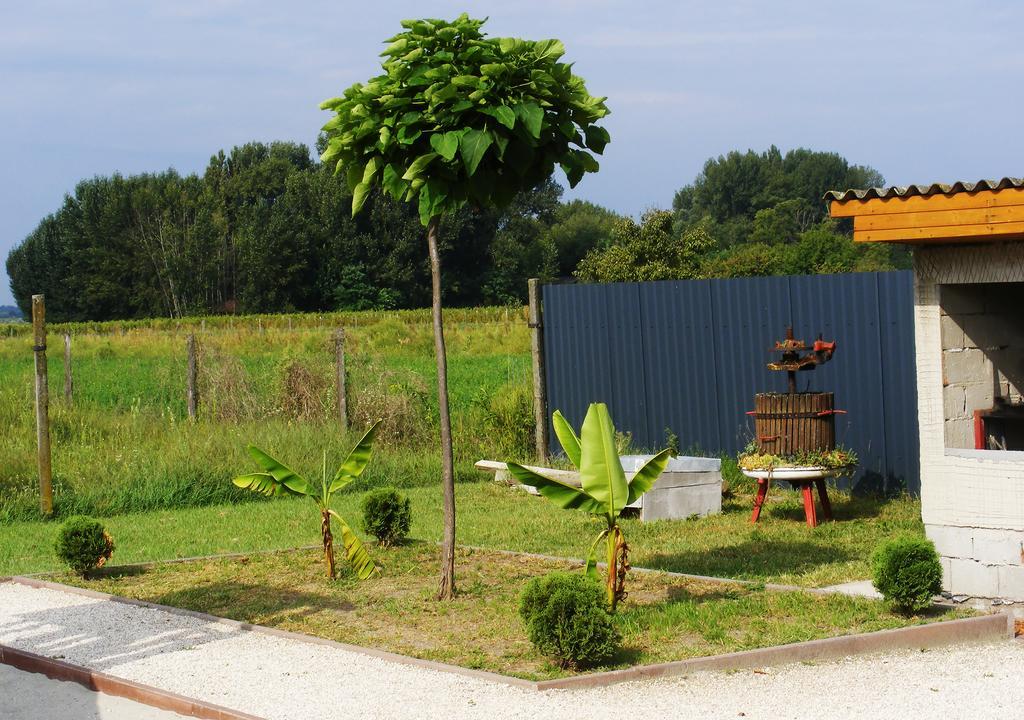 Szerencsecsillag Vendégház Kiskoros Exterior foto