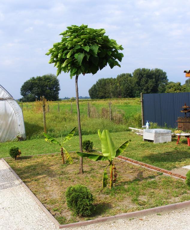 Szerencsecsillag Vendégház Kiskoros Exterior foto
