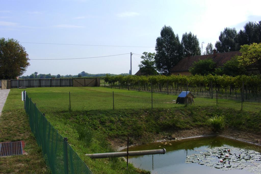 Szerencsecsillag Vendégház Kiskoros Exterior foto